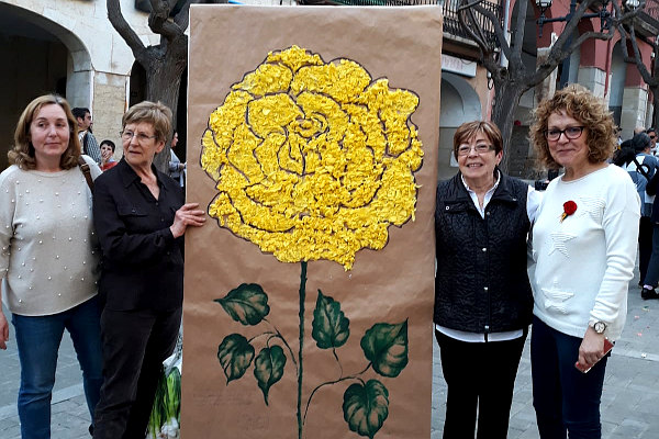 Rosa_Groga_2018